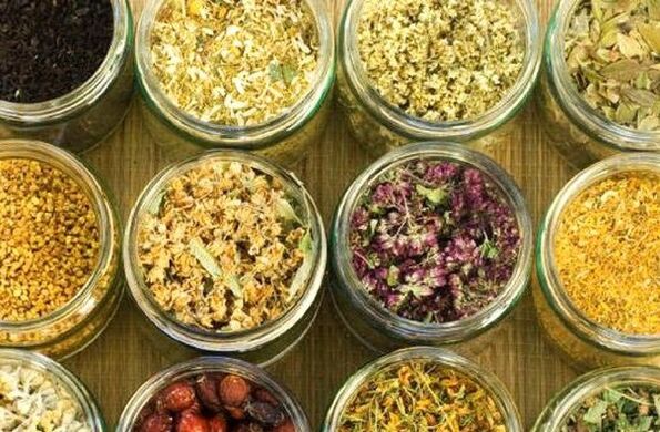 oczyszczanie organizmu z pasożytów środkami ludowymi